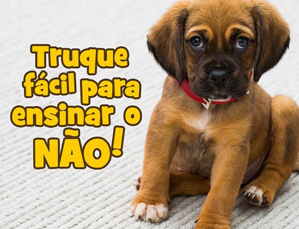 nao post