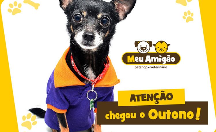 outono 02 post