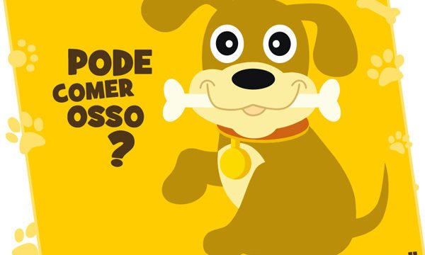osso parte 02