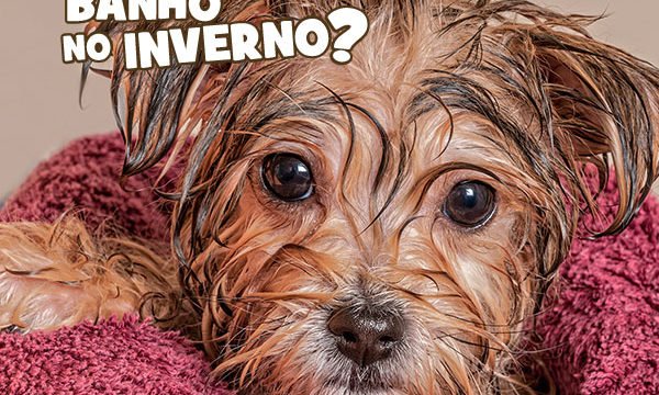 inverno post