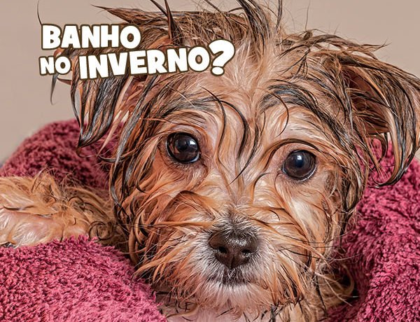 inverno post