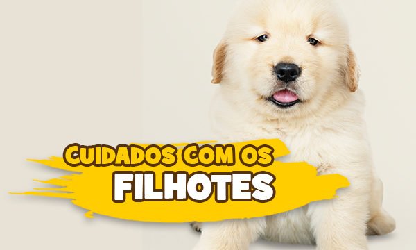 post filhotes