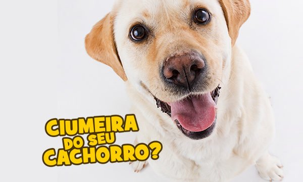 post site e google