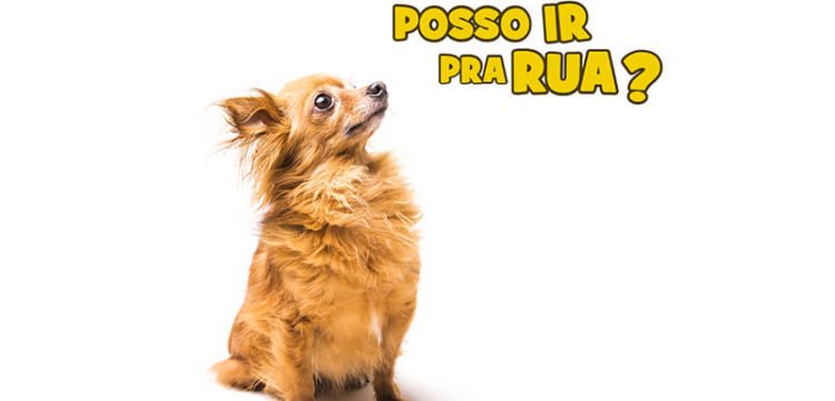 passeio na quarentena