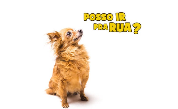 passeio na quarentena