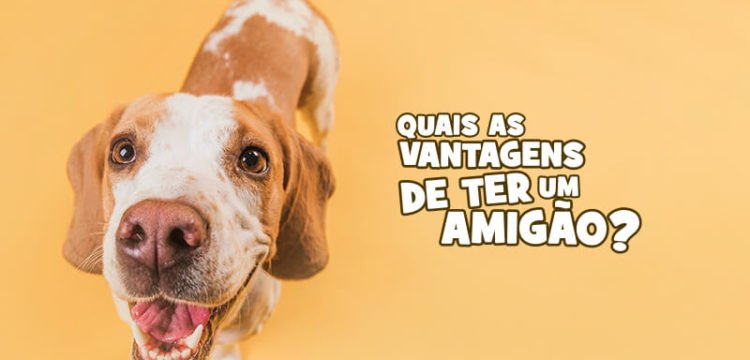 vantagens de ter um amigao