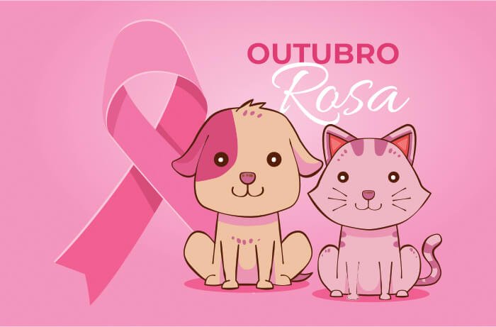 blog outubro rosa campanha