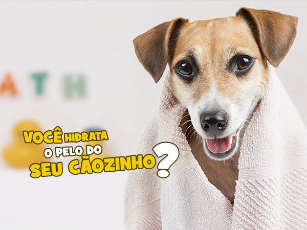 blog hidrata