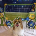 Fotos da Copa 1