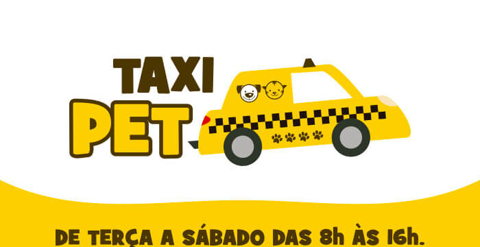 blog-taxi-pet