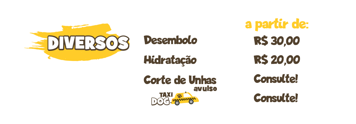 2024 servicos diversos