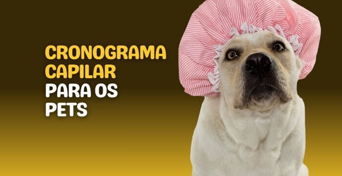 Cronograma capilar para os Pets