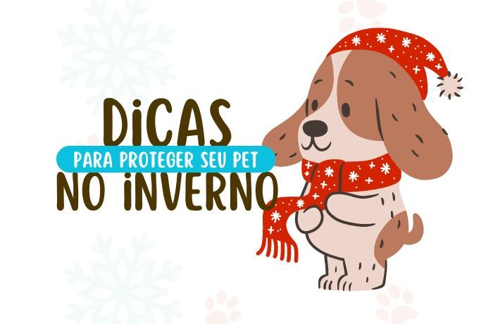 dicas para proteger seu pet no de inverno