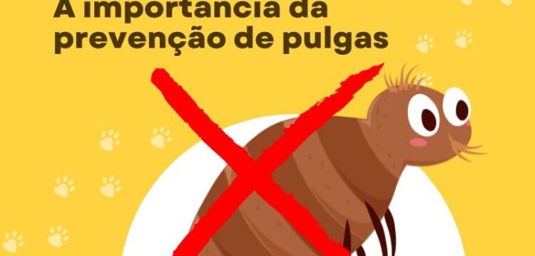 A importância da prevenção de pulgas