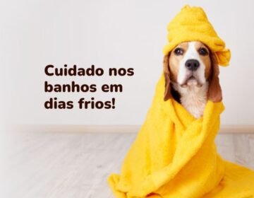 Cuidado nos banhos em dias frios