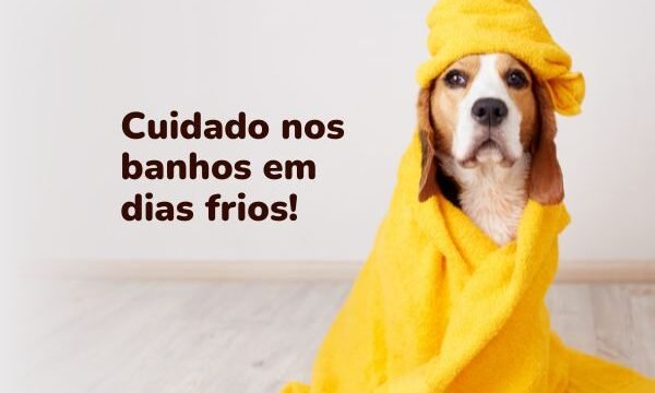 Cuidado nos banhos em dias frios