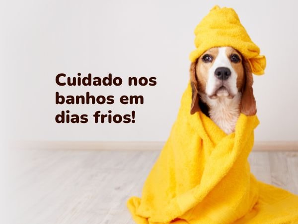 Cuidado nos banhos em dias frios